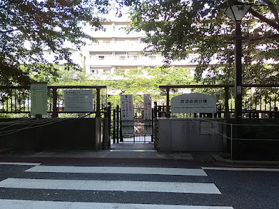 Confluence Playground 사진 5