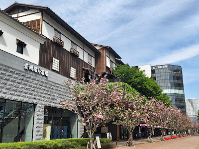 豊洲江戸前通り 사진 3