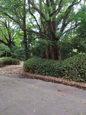 辰巳富士（辰巳の森緑道公園） 사진 3