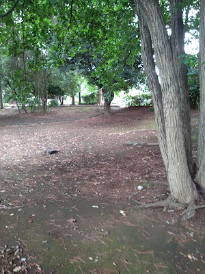 辰巳富士（辰巳の森緑道公園） 사진 2
