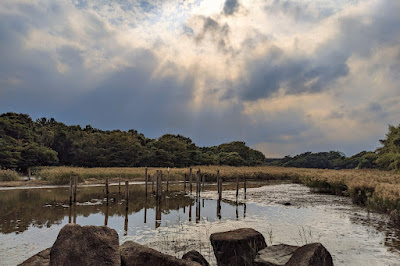 下の池北側観察窓 사진 2