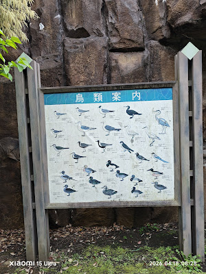 下の池北側観察窓 사진 3