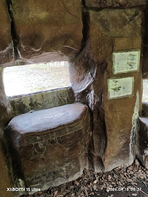 下の池北側観察窓 사진 5