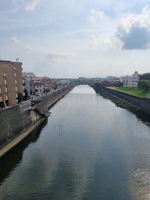 富士見旧江戸川護岸遊歩道 사진 3