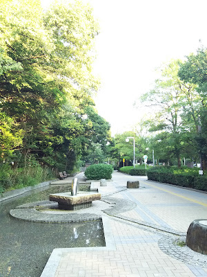 シンボルロード 사진 2