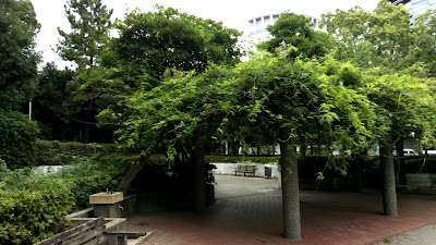 Irifune Park 사진 2