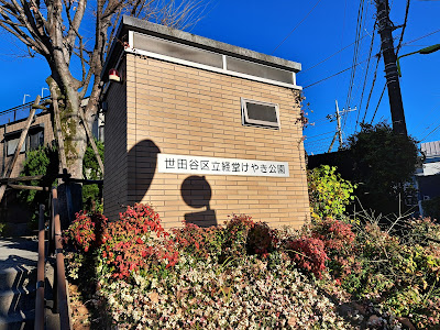 Kyodo Keyaki Park 사진 4