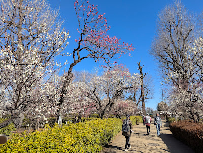 Plum Garden 사진 3