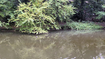 Ichiniro Pond 사진 2