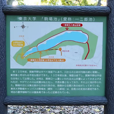 Ichiniro Pond 사진 3