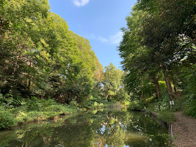 Ichiniro Pond 사진 5