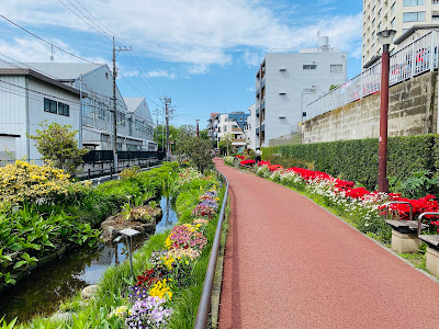 Meguro River Green Belt 사진 4