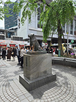 시부야 센터가이 사진 4