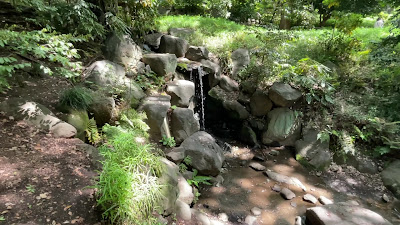 Momiji Waterfall 사진 2