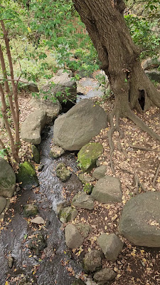 Momiji Waterfall 사진 4