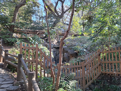 Momiji Waterfall 사진 3