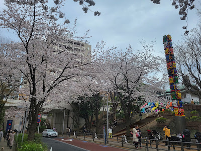 Roppongi Sakura-zaka 사진 4