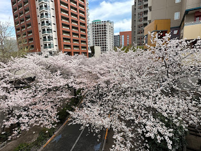 Roppongi Sakura-zaka 사진 3