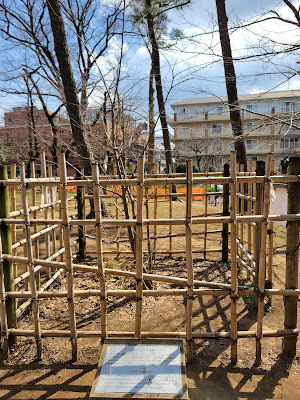 150th Anniversary of Japan-Germany Relations: European Bodhi Tree 사진 3