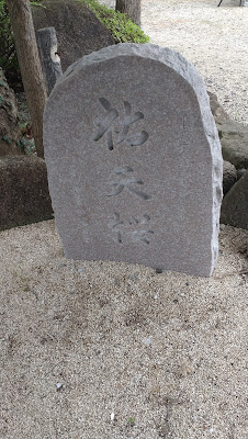 Yutenzakura Cherry Trees 사진 2