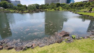 구 시바리큐 정원 사진 2