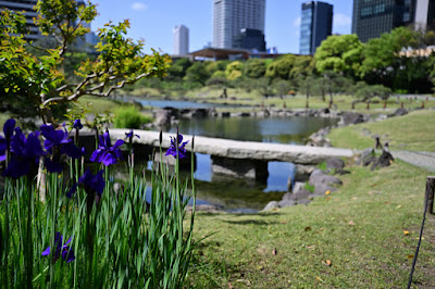 Koike 사진 3