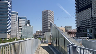 がすてなーに 屋上ひろば 사진 2