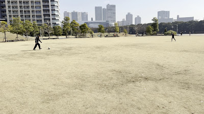 豊洲おもてなしガーデン（江東区コミュニティガーデン） 사진 2