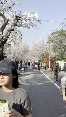 肋骨通り 사진 2