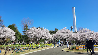 Athletic Park 사진 4