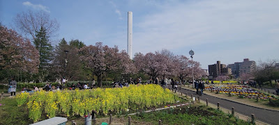 Athletic Park 사진 2