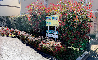 Kitazawa Ichichome Okanoue Park 사진 2