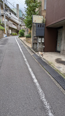 ネッコ坂 사진 5