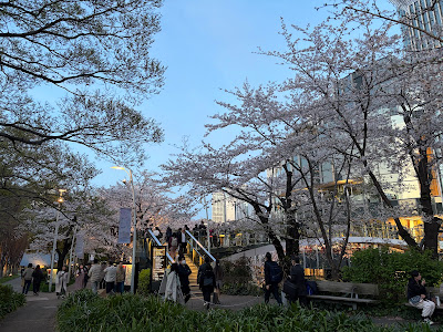 Arc Bridge of Tokyo Midtown Blossom 사진 3