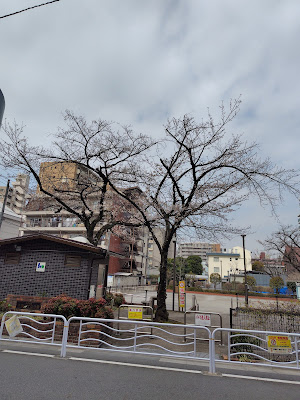 木場二丁目町会・春和会（江東区コミュニティガーデン） 사진 2