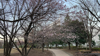 Shinsunaayumi Park 사진 3
