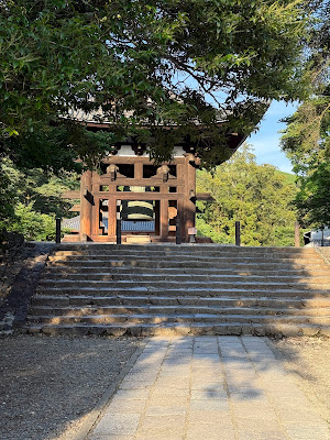 Todaijimaminamijido Park 사진 4