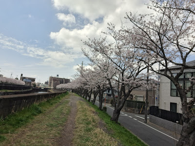 猫実川の堤 사진 4