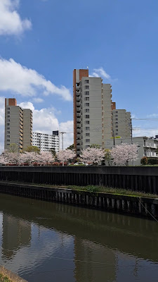 猫実川の堤 사진 2