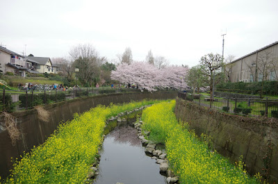 Sengawa Peace Park 사진 3