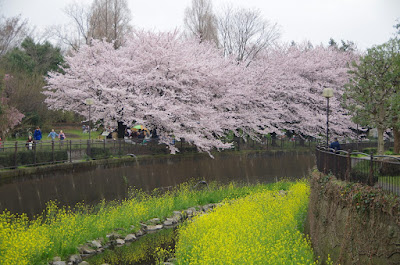 Sengawa Peace Park 사진 4