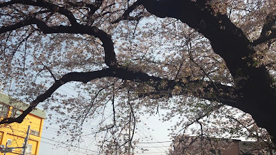 Sengawa Peace Park 사진 2