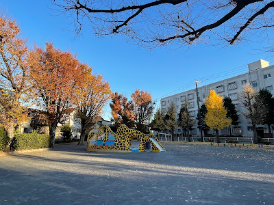 Kino Park 사진 5
