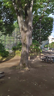 Shōei Park 사진 2