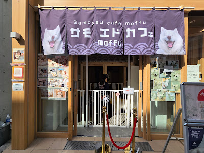 다케시타도리 입구 아치(하라주쿠역) 사진 4