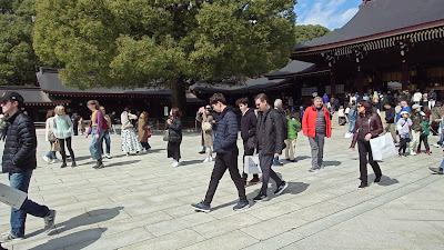 메이지 신궁 오도리이 (제2 도리이) 사진 2