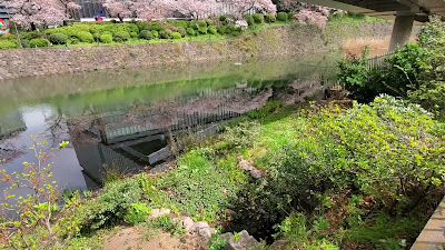 Benkei Bridge 사진 2