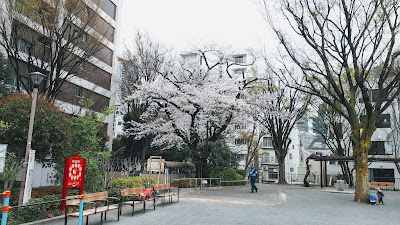 Hitotsugi Park 사진 4