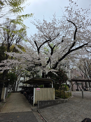 Hitotsugi Park 사진 5