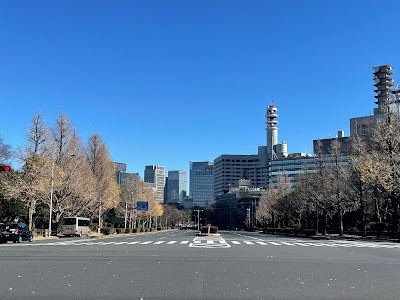 議事堂前銀杏並木 사진 4